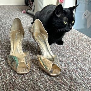 BCBG Girls kitten Elegant Peep-Toe Heels in Gold by [BCBG]